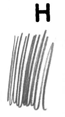 Staedtler Mars Lumograph Pencils H
